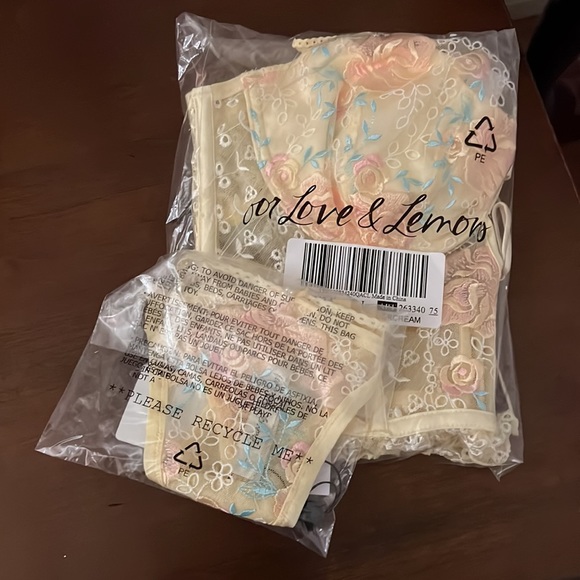 Vintage Eyelet Rose Thong and Bustier set - Picture 13 of 15